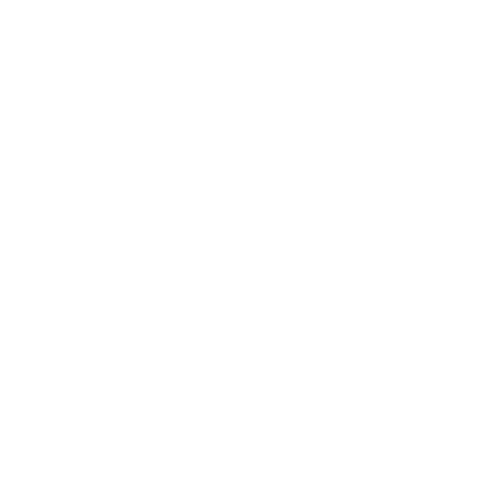 BASCH Systems