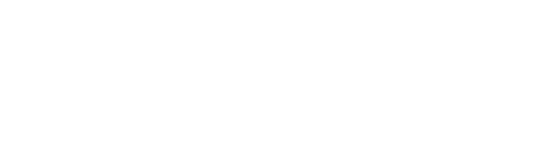 BASCH Systems